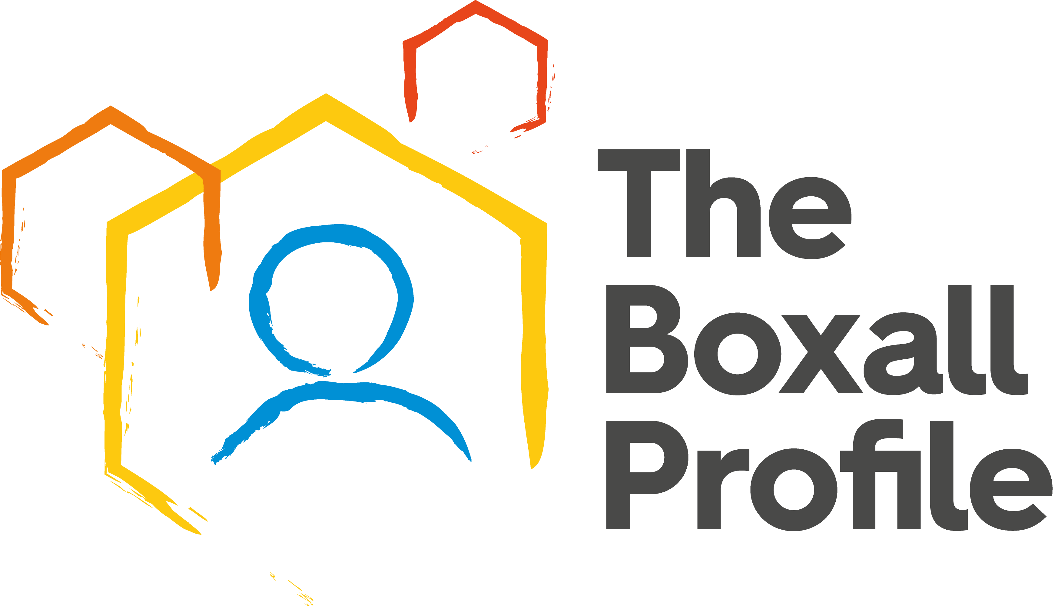 Boxall Profile